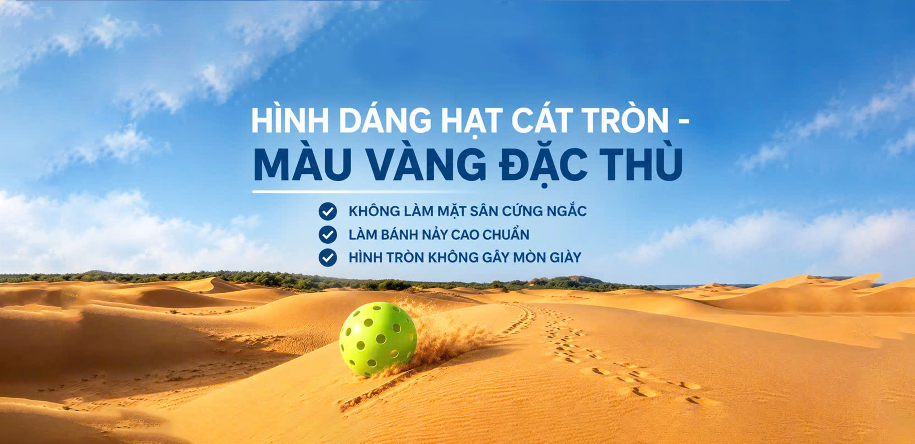SÂN PICKLEBALL